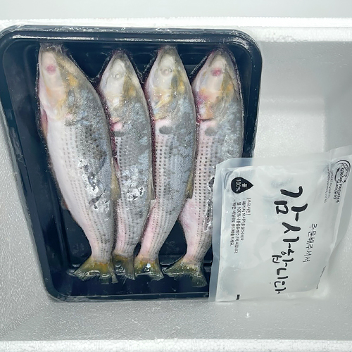 산지 직송 동해안 전어 1kg (5미내외)